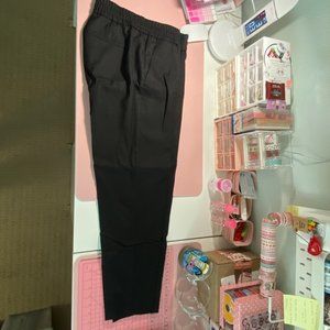 Ann Taylor Elastic Waist Slacks Size 2
